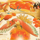 Image for article titled Where to Buy Great Video Game Artwork